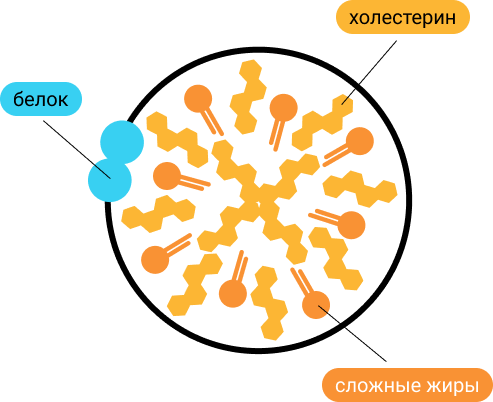 Описание изображения